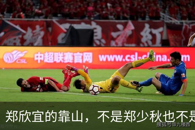 郑欣宜的靠山，不是郑少秋也不是沈殿霞的遗产，而是事事兜底的她